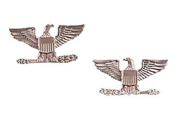 Rothco Colonel Insignia: Silver
